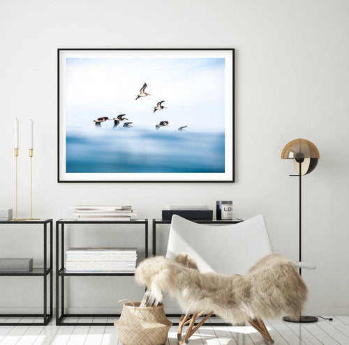 As They Fly Art Print-PRINT-Olive et Oriel-Olive et Oriel-Buy-Australian-Art-Prints-Online-with-Olive-et-Oriel-Your-Artwork-Specialists-Austrailia-Decorate-With-Coastal-Photo-Wall-Art-Prints-From-Our-Beach-House-Artwork-Collection-Fine-Poster-and-Framed-Artwork