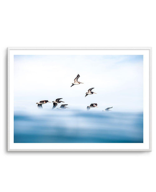 As They Fly Art Print-PRINT-Olive et Oriel-Olive et Oriel-A5 | 5.8" x 8.3" | 14.8 x 21cm-Unframed Art Print-With White Border-Buy-Australian-Art-Prints-Online-with-Olive-et-Oriel-Your-Artwork-Specialists-Austrailia-Decorate-With-Coastal-Photo-Wall-Art-Prints-From-Our-Beach-House-Artwork-Collection-Fine-Poster-and-Framed-Artwork