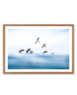 As They Fly Art Print-PRINT-Olive et Oriel-Olive et Oriel-50x70 cm | 19.6" x 27.5"-Walnut-With White Border-Buy-Australian-Art-Prints-Online-with-Olive-et-Oriel-Your-Artwork-Specialists-Austrailia-Decorate-With-Coastal-Photo-Wall-Art-Prints-From-Our-Beach-House-Artwork-Collection-Fine-Poster-and-Framed-Artwork