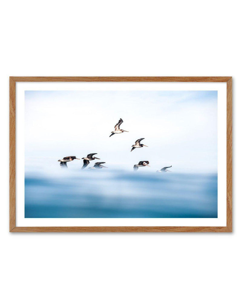As They Fly Art Print-PRINT-Olive et Oriel-Olive et Oriel-50x70 cm | 19.6" x 27.5"-Walnut-With White Border-Buy-Australian-Art-Prints-Online-with-Olive-et-Oriel-Your-Artwork-Specialists-Austrailia-Decorate-With-Coastal-Photo-Wall-Art-Prints-From-Our-Beach-House-Artwork-Collection-Fine-Poster-and-Framed-Artwork