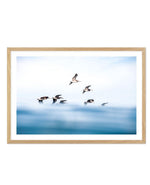 As They Fly Art Print-PRINT-Olive et Oriel-Olive et Oriel-A5 | 5.8" x 8.3" | 14.8 x 21cm-Oak-With White Border-Buy-Australian-Art-Prints-Online-with-Olive-et-Oriel-Your-Artwork-Specialists-Austrailia-Decorate-With-Coastal-Photo-Wall-Art-Prints-From-Our-Beach-House-Artwork-Collection-Fine-Poster-and-Framed-Artwork