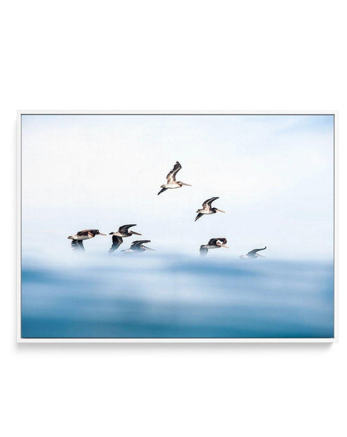 As They Fly | Framed Canvas-CANVAS-You can shop wall art online with Olive et Oriel for everything from abstract art to fun kids wall art. Our beautiful modern art prints and canvas art are available from large canvas prints to wall art paintings and our proudly Australian artwork collection offers only the highest quality framed large wall art and canvas art Australia - You can buy fashion photography prints or Hampton print posters and paintings on canvas from Olive et Oriel and have them deli