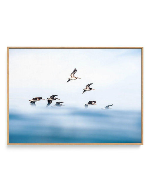 As They Fly | Framed Canvas-CANVAS-You can shop wall art online with Olive et Oriel for everything from abstract art to fun kids wall art. Our beautiful modern art prints and canvas art are available from large canvas prints to wall art paintings and our proudly Australian artwork collection offers only the highest quality framed large wall art and canvas art Australia - You can buy fashion photography prints or Hampton print posters and paintings on canvas from Olive et Oriel and have them deli