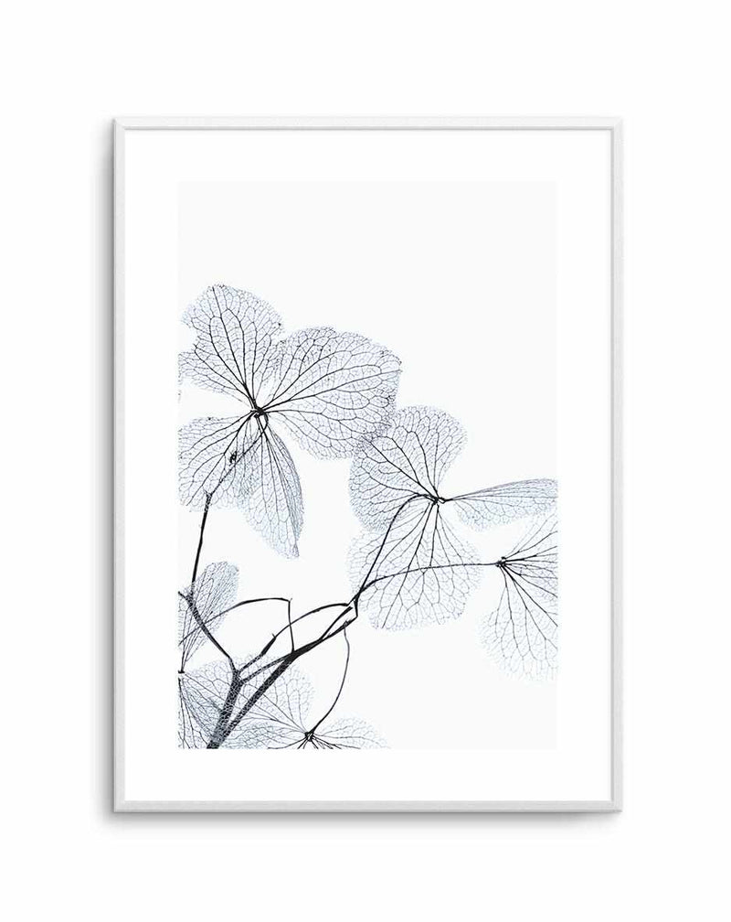 Blue Leaves I Art Print-PRINT-Olive et Oriel-Olive et Oriel-A5 | 5.8" x 8.3" | 14.8 x 21cm-Unframed Art Print-With White Border-Buy-Australian-Art-Prints-Online-with-Olive-et-Oriel-Your-Artwork-Specialists-Austrailia-Decorate-With-Coastal-Photo-Wall-Art-Prints-From-Our-Beach-House-Artwork-Collection-Fine-Poster-and-Framed-Artwork