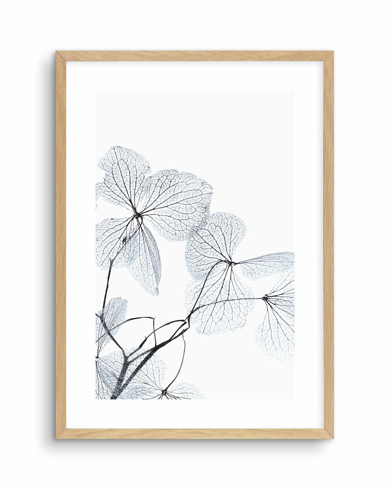 Blue Leaves I Art Print-PRINT-Olive et Oriel-Olive et Oriel-A5 | 5.8" x 8.3" | 14.8 x 21cm-Oak-With White Border-Buy-Australian-Art-Prints-Online-with-Olive-et-Oriel-Your-Artwork-Specialists-Austrailia-Decorate-With-Coastal-Photo-Wall-Art-Prints-From-Our-Beach-House-Artwork-Collection-Fine-Poster-and-Framed-Artwork