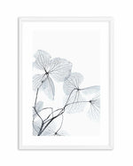 Blue Leaves I Art Print-PRINT-Olive et Oriel-Olive et Oriel-A5 | 5.8" x 8.3" | 14.8 x 21cm-White-With White Border-Buy-Australian-Art-Prints-Online-with-Olive-et-Oriel-Your-Artwork-Specialists-Austrailia-Decorate-With-Coastal-Photo-Wall-Art-Prints-From-Our-Beach-House-Artwork-Collection-Fine-Poster-and-Framed-Artwork