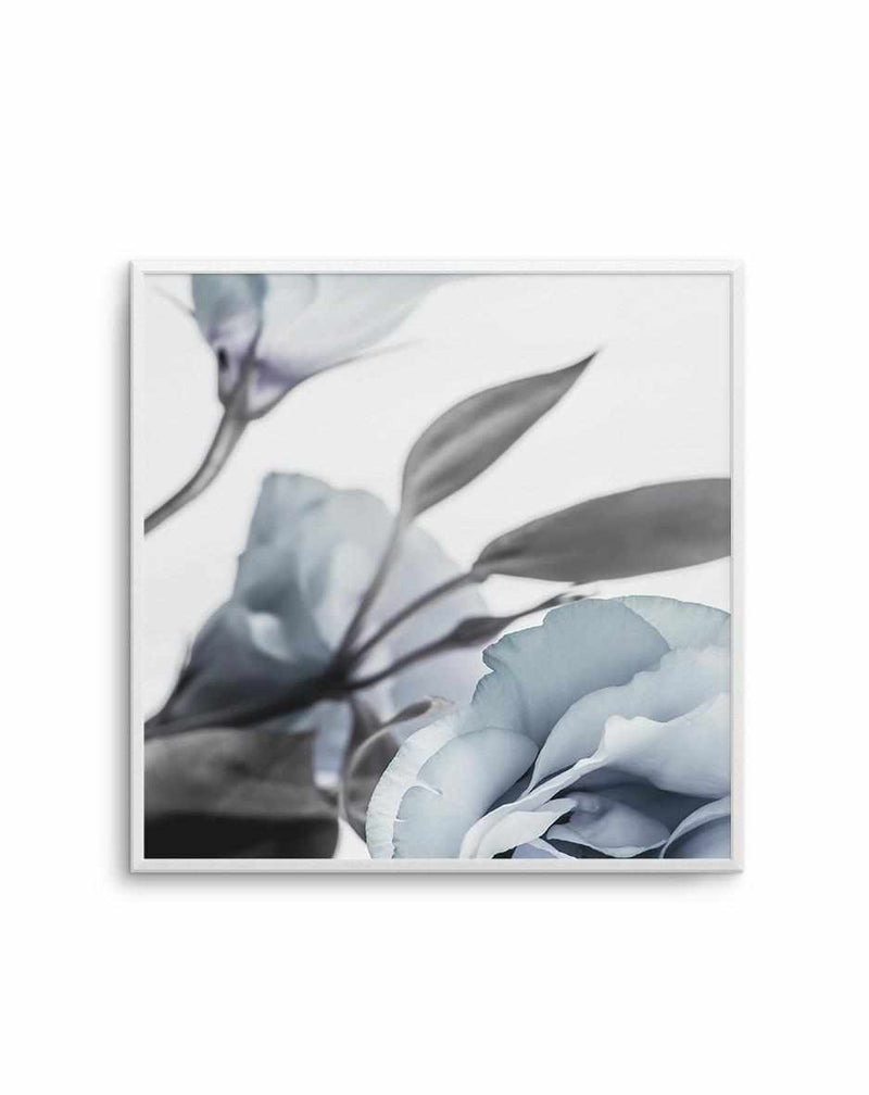 Blue Lisianthus I | SQ Art Print-PRINT-Olive et Oriel-Olive et Oriel-Buy-Australian-Art-Prints-Online-with-Olive-et-Oriel-Your-Artwork-Specialists-Austrailia-Decorate-With-Coastal-Photo-Wall-Art-Prints-From-Our-Beach-House-Artwork-Collection-Fine-Poster-and-Framed-Artwork