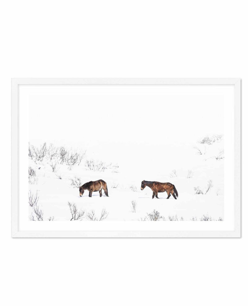 Baby Brumbies Art Print-PRINT-Olive et Oriel-Olive et Oriel-A5 | 5.8" x 8.3" | 14.8 x 21cm-White-With White Border-Buy-Australian-Art-Prints-Online-with-Olive-et-Oriel-Your-Artwork-Specialists-Austrailia-Decorate-With-Coastal-Photo-Wall-Art-Prints-From-Our-Beach-House-Artwork-Collection-Fine-Poster-and-Framed-Artwork