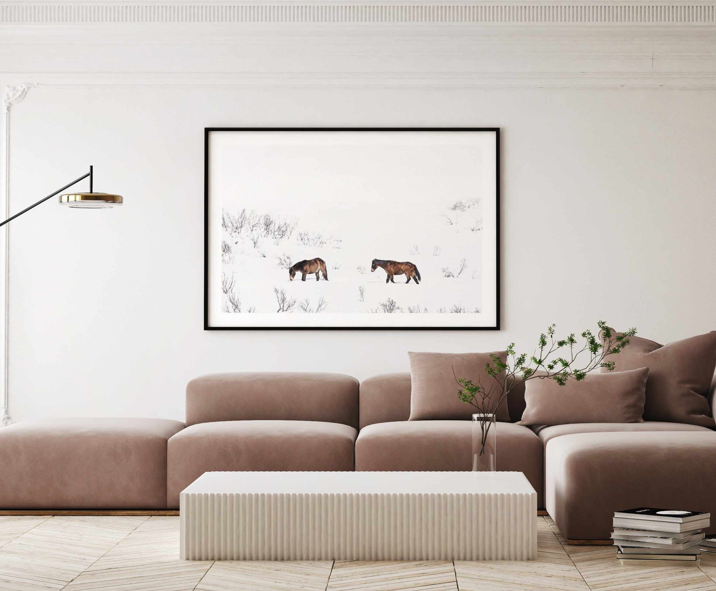 Baby Brumbies Art Print-PRINT-Olive et Oriel-Olive et Oriel-Buy-Australian-Art-Prints-Online-with-Olive-et-Oriel-Your-Artwork-Specialists-Austrailia-Decorate-With-Coastal-Photo-Wall-Art-Prints-From-Our-Beach-House-Artwork-Collection-Fine-Poster-and-Framed-Artwork