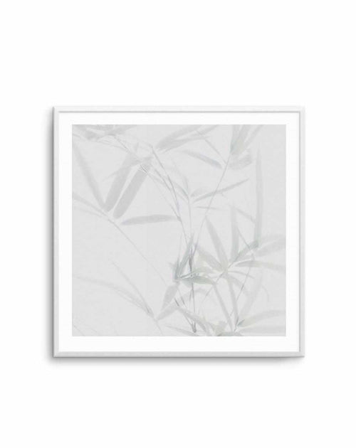 Bamboo II | SQ Art Print-PRINT-Olive et Oriel-Olive et Oriel-Buy-Australian-Art-Prints-Online-with-Olive-et-Oriel-Your-Artwork-Specialists-Austrailia-Decorate-With-Coastal-Photo-Wall-Art-Prints-From-Our-Beach-House-Artwork-Collection-Fine-Poster-and-Framed-Artwork