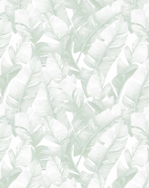 Banana Leaf Palms | Green Wallpaper-Wallpaper-Buy Australian Removable Wallpaper Now Sage Green Wallpaper Peel And Stick Wallpaper Online At Olive et Oriel Custom Made Wallpapers Wall Papers Decorate Your Bedroom Living Room Kids Room or Commercial Interior