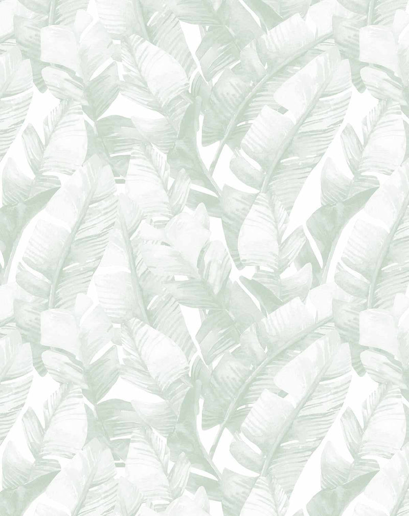 Banana Leaf Palms | Green Wallpaper-Wallpaper-Buy Australian Removable Wallpaper Now Sage Green Wallpaper Peel And Stick Wallpaper Online At Olive et Oriel Custom Made Wallpapers Wall Papers Decorate Your Bedroom Living Room Kids Room or Commercial Interior