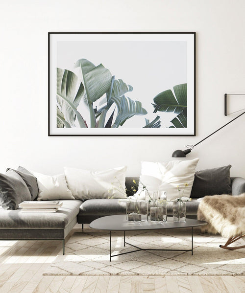 Banana Palm Leaves Art Print-PRINT-Olive et Oriel-Olive et Oriel-Buy-Australian-Art-Prints-Online-with-Olive-et-Oriel-Your-Artwork-Specialists-Austrailia-Decorate-With-Coastal-Photo-Wall-Art-Prints-From-Our-Beach-House-Artwork-Collection-Fine-Poster-and-Framed-Artwork