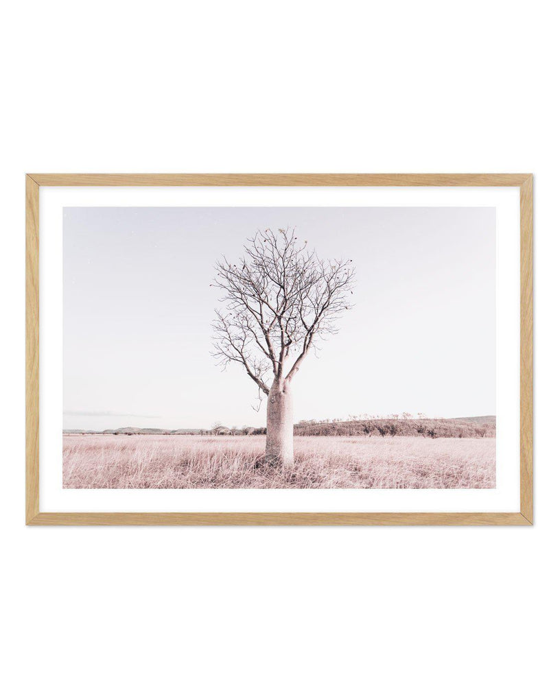 Baobab Tree | Western Australia Art Print-PRINT-Olive et Oriel-Olive et Oriel-A5 | 5.8" x 8.3" | 14.8 x 21cm-Oak-With White Border-Buy-Australian-Art-Prints-Online-with-Olive-et-Oriel-Your-Artwork-Specialists-Austrailia-Decorate-With-Coastal-Photo-Wall-Art-Prints-From-Our-Beach-House-Artwork-Collection-Fine-Poster-and-Framed-Artwork