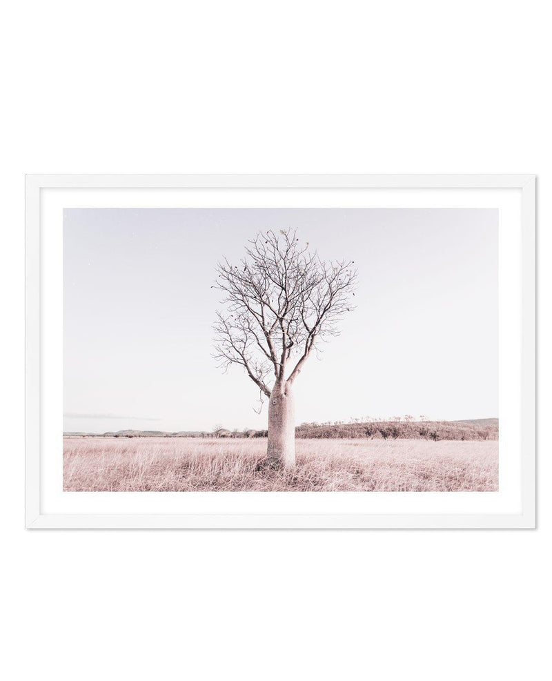 Baobab Tree | Western Australia Art Print-PRINT-Olive et Oriel-Olive et Oriel-A5 | 5.8" x 8.3" | 14.8 x 21cm-Unframed Art Print-With White Border-Buy-Australian-Art-Prints-Online-with-Olive-et-Oriel-Your-Artwork-Specialists-Austrailia-Decorate-With-Coastal-Photo-Wall-Art-Prints-From-Our-Beach-House-Artwork-Collection-Fine-Poster-and-Framed-Artwork