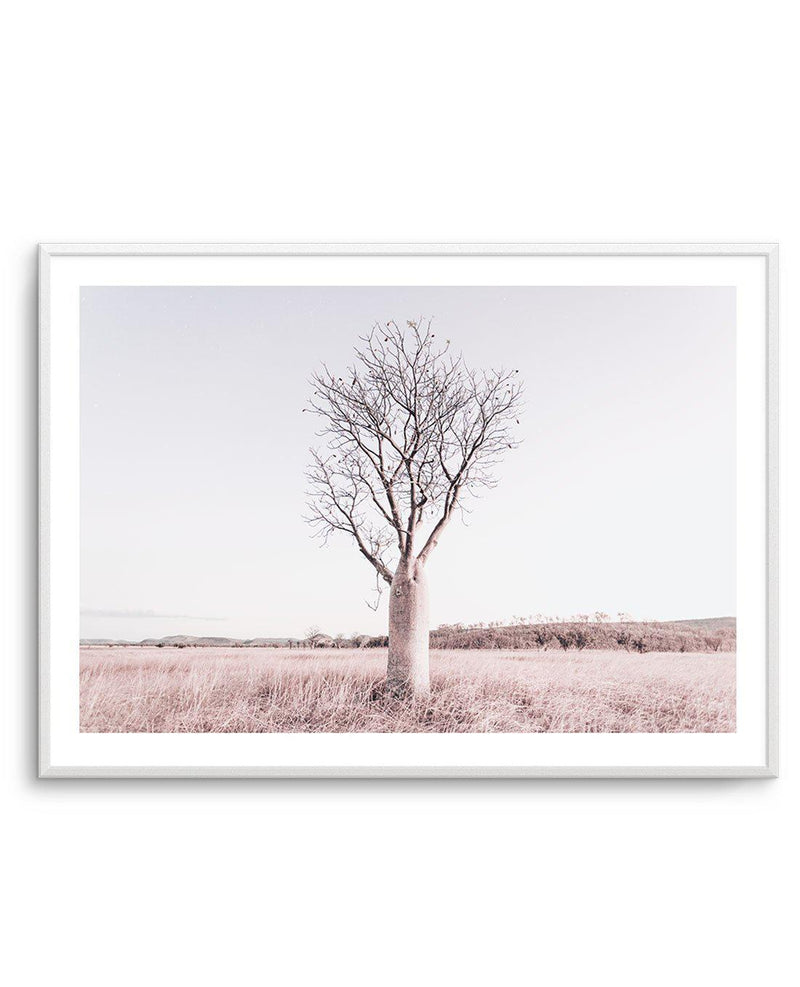 Baobab Tree | Western Australia Art Print-PRINT-Olive et Oriel-Olive et Oriel-A5 | 5.8" x 8.3" | 14.8 x 21cm-White-With White Border-Buy-Australian-Art-Prints-Online-with-Olive-et-Oriel-Your-Artwork-Specialists-Austrailia-Decorate-With-Coastal-Photo-Wall-Art-Prints-From-Our-Beach-House-Artwork-Collection-Fine-Poster-and-Framed-Artwork