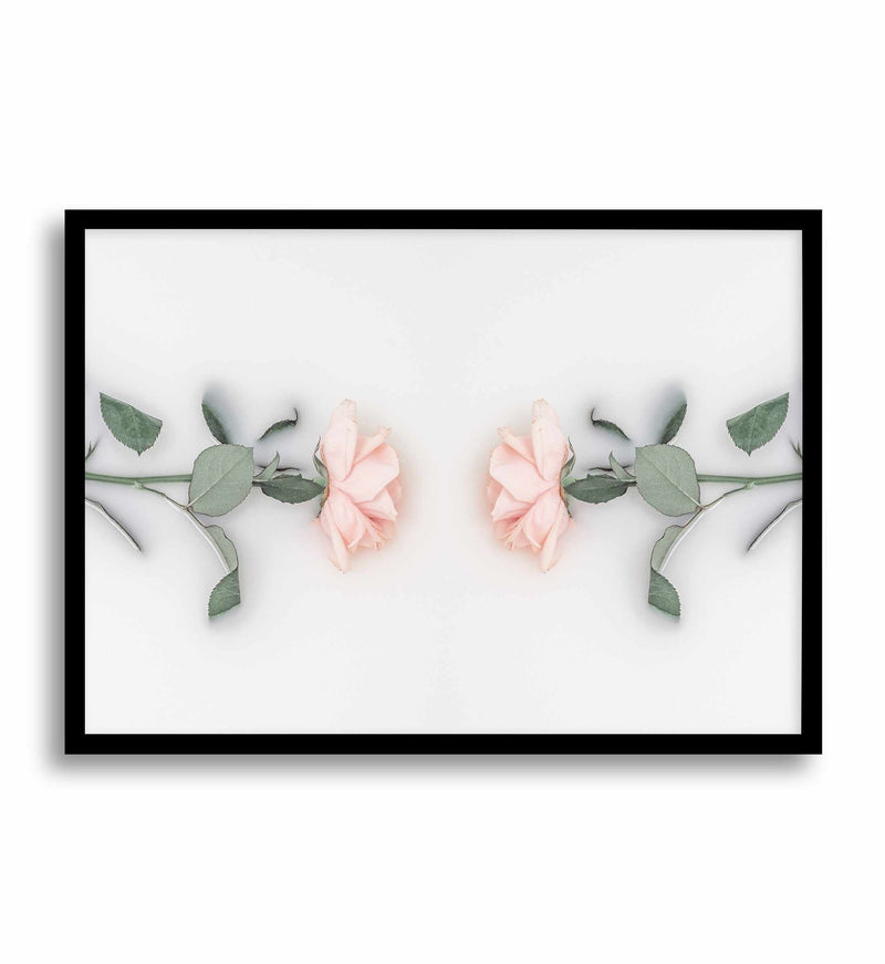 Bathing Roses II Art Print-PRINT-Olive et Oriel-Olive et Oriel-A5 | 5.8" x 8.3" | 14.8 x 21cm-Black-With White Border-Buy-Australian-Art-Prints-Online-with-Olive-et-Oriel-Your-Artwork-Specialists-Austrailia-Decorate-With-Coastal-Photo-Wall-Art-Prints-From-Our-Beach-House-Artwork-Collection-Fine-Poster-and-Framed-Artwork