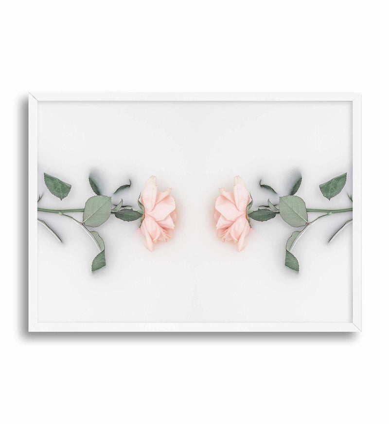 Bathing Roses II Art Print-PRINT-Olive et Oriel-Olive et Oriel-A5 | 5.8" x 8.3" | 14.8 x 21cm-White-With White Border-Buy-Australian-Art-Prints-Online-with-Olive-et-Oriel-Your-Artwork-Specialists-Austrailia-Decorate-With-Coastal-Photo-Wall-Art-Prints-From-Our-Beach-House-Artwork-Collection-Fine-Poster-and-Framed-Artwork