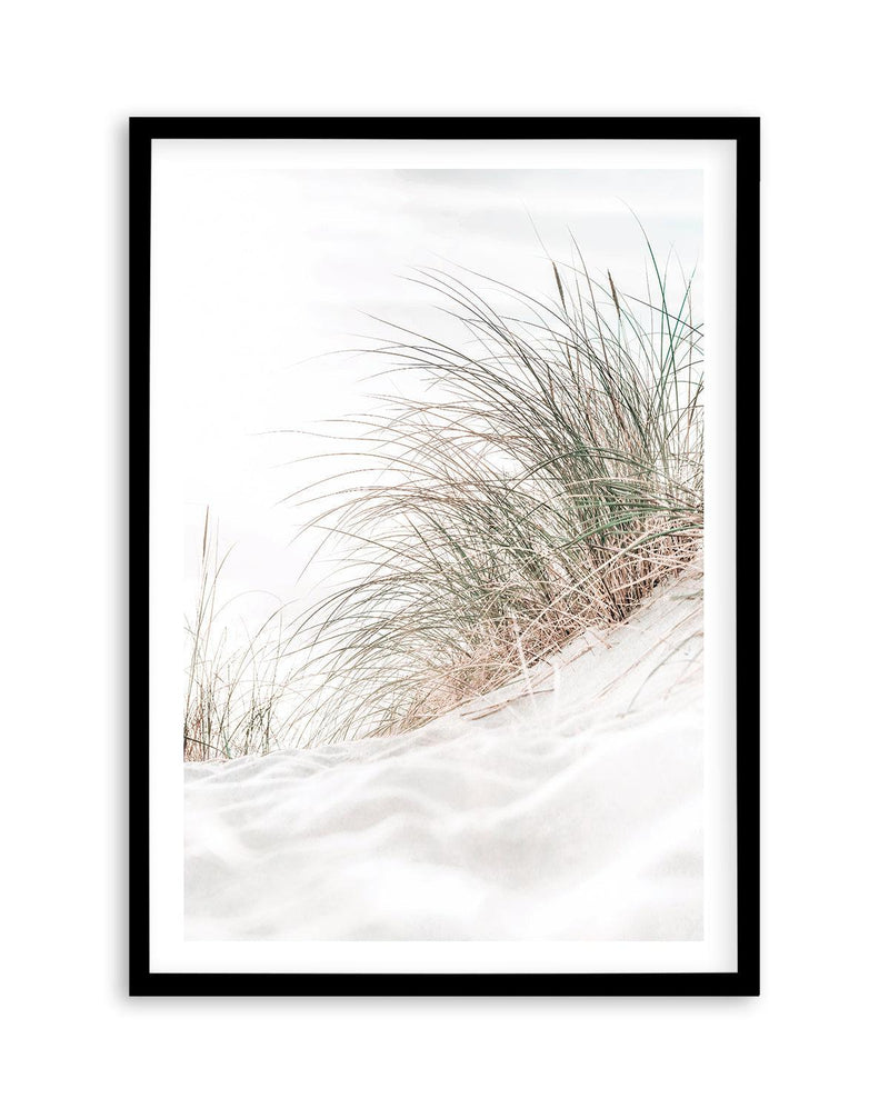Beach Grass I Art Print | PT-PRINT-Olive et Oriel-Olive et Oriel-A5 | 5.8" x 8.3" | 14.8 x 21cm-Black-With White Border-Buy-Australian-Art-Prints-Online-with-Olive-et-Oriel-Your-Artwork-Specialists-Austrailia-Decorate-With-Coastal-Photo-Wall-Art-Prints-From-Our-Beach-House-Artwork-Collection-Fine-Poster-and-Framed-Artwork