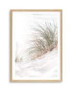 Beach Grass I Art Print | PT-PRINT-Olive et Oriel-Olive et Oriel-A5 | 5.8" x 8.3" | 14.8 x 21cm-Oak-With White Border-Buy-Australian-Art-Prints-Online-with-Olive-et-Oriel-Your-Artwork-Specialists-Austrailia-Decorate-With-Coastal-Photo-Wall-Art-Prints-From-Our-Beach-House-Artwork-Collection-Fine-Poster-and-Framed-Artwork