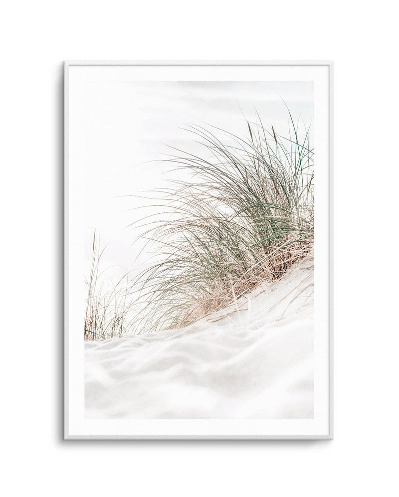 Beach Grass I Art Print | PT-PRINT-Olive et Oriel-Olive et Oriel-A5 | 5.8" x 8.3" | 14.8 x 21cm-Unframed Art Print-With White Border-Buy-Australian-Art-Prints-Online-with-Olive-et-Oriel-Your-Artwork-Specialists-Austrailia-Decorate-With-Coastal-Photo-Wall-Art-Prints-From-Our-Beach-House-Artwork-Collection-Fine-Poster-and-Framed-Artwork