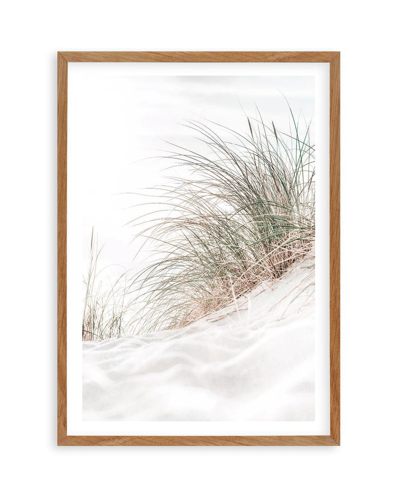 Beach Grass I Art Print | PT-PRINT-Olive et Oriel-Olive et Oriel-50x70 cm | 19.6" x 27.5"-Walnut-With White Border-Buy-Australian-Art-Prints-Online-with-Olive-et-Oriel-Your-Artwork-Specialists-Austrailia-Decorate-With-Coastal-Photo-Wall-Art-Prints-From-Our-Beach-House-Artwork-Collection-Fine-Poster-and-Framed-Artwork