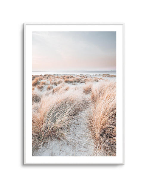 Beach Grass II Art Print | PT-PRINT-Olive et Oriel-Olive et Oriel-A5 | 5.8" x 8.3" | 14.8 x 21cm-Unframed Art Print-With White Border-Buy-Australian-Art-Prints-Online-with-Olive-et-Oriel-Your-Artwork-Specialists-Austrailia-Decorate-With-Coastal-Photo-Wall-Art-Prints-From-Our-Beach-House-Artwork-Collection-Fine-Poster-and-Framed-Artwork