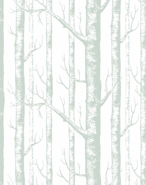 Birch Trees in Sage Wallpaper-Wallpaper-Buy Kids Removable Wallpaper Online Our Custom Made Children√¢‚Ç¨‚Ñ¢s Wallpapers Are A Fun Way To Decorate And Enhance Boys Bedroom Decor And Girls Bedrooms They Are An Amazing Addition To Your Kids Bedroom Walls Our Collection of Kids Wallpaper Is Sure To Transform Your Kids Rooms Interior Style From Pink Wallpaper To Dinosaur Wallpaper Even Marble Wallpapers For Teen Boys Shop Peel And Stick Wallpaper Online Today With Olive et Oriel
