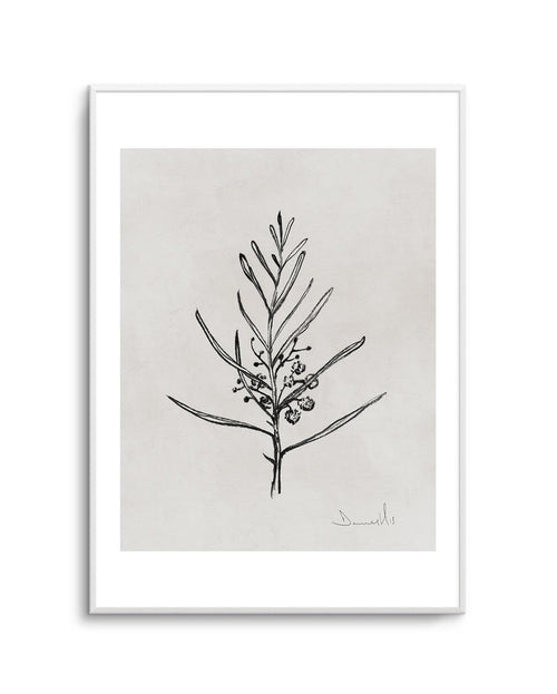 Blackwood Sapling by Dan Hobday Art Print-PRINT-Olive et Oriel-Dan Hobday-A5 | 5.8" x 8.3" | 14.8 x 21cm-Unframed Art Print-With White Border-Buy-Australian-Art-Prints-Online-with-Olive-et-Oriel-Your-Artwork-Specialists-Austrailia-Decorate-With-Coastal-Photo-Wall-Art-Prints-From-Our-Beach-House-Artwork-Collection-Fine-Poster-and-Framed-Artwork