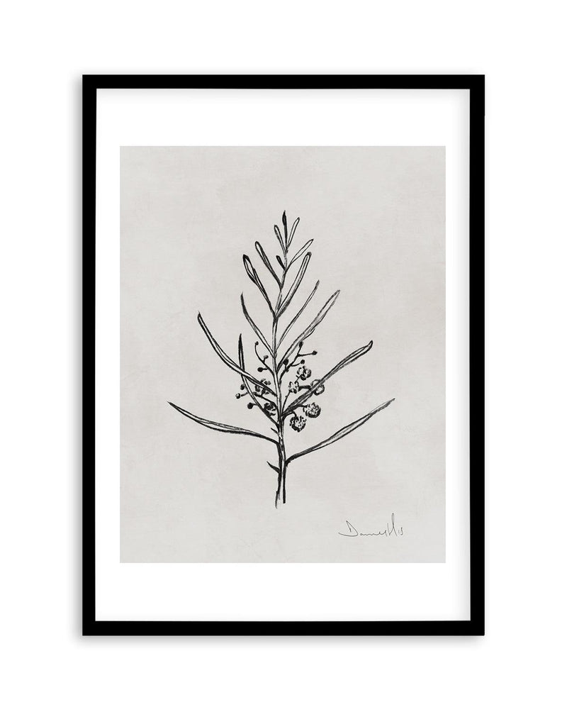 Blackwood Sapling by Dan Hobday Art Print-PRINT-Olive et Oriel-Dan Hobday-A5 | 5.8" x 8.3" | 14.8 x 21cm-Black-With White Border-Buy-Australian-Art-Prints-Online-with-Olive-et-Oriel-Your-Artwork-Specialists-Austrailia-Decorate-With-Coastal-Photo-Wall-Art-Prints-From-Our-Beach-House-Artwork-Collection-Fine-Poster-and-Framed-Artwork