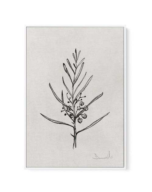 Blackwood Sapling by Dan Hobday | Framed Canvas-CANVAS-You can shop wall art online with Olive et Oriel for everything from abstract art to fun kids wall art. Our beautiful modern art prints and canvas art are available from large canvas prints to wall art paintings and our proudly Australian artwork collection offers only the highest quality framed large wall art and canvas art Australia - You can buy fashion photography prints or Hampton print posters and paintings on canvas from Olive et Orie