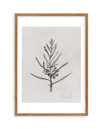 Blackwood Sapling by Dan Hobday Art Print-PRINT-Olive et Oriel-Dan Hobday-50x70 cm | 19.6" x 27.5"-Walnut-With White Border-Buy-Australian-Art-Prints-Online-with-Olive-et-Oriel-Your-Artwork-Specialists-Austrailia-Decorate-With-Coastal-Photo-Wall-Art-Prints-From-Our-Beach-House-Artwork-Collection-Fine-Poster-and-Framed-Artwork