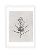 Blackwood Sapling by Dan Hobday Art Print-PRINT-Olive et Oriel-Dan Hobday-A5 | 5.8" x 8.3" | 14.8 x 21cm-White-With White Border-Buy-Australian-Art-Prints-Online-with-Olive-et-Oriel-Your-Artwork-Specialists-Austrailia-Decorate-With-Coastal-Photo-Wall-Art-Prints-From-Our-Beach-House-Artwork-Collection-Fine-Poster-and-Framed-Artwork