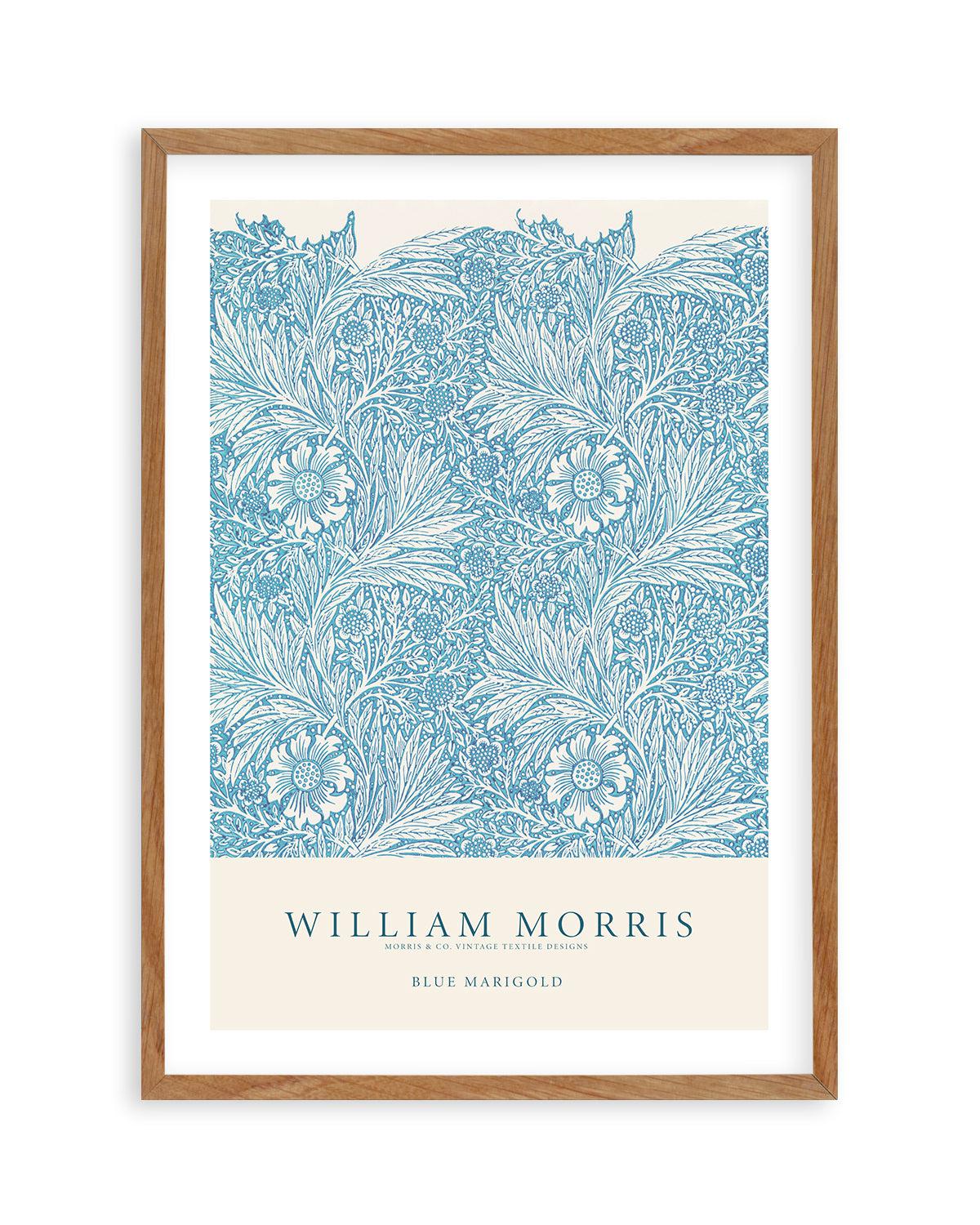 Blue Marigold by William Morris Art Print