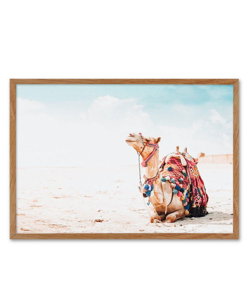Bohemian Camel | LS Art Print-Shop Australian Art Prints Online with Olive et Oriel - Our collection of Moroccan art prints offer unique wall art including moroccan arches and pink morocco doors of marrakech - this collection will add soft feminine colour to your walls and some may say bohemian style. These traditional morocco landscape photography includes desert scenes of palm trees and camel art prints - there is art on canvas and extra large wall art with fast, free shipping across Australia
