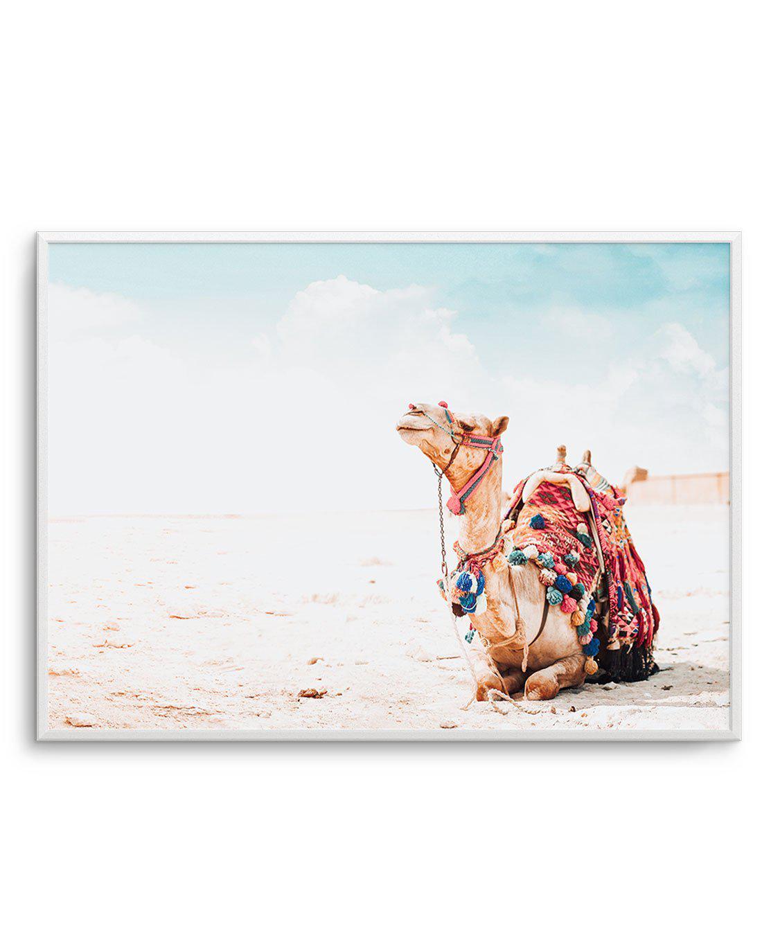 Bohemian Camel | LS Art Print-Shop Australian Art Prints Online with Olive et Oriel - Our collection of Moroccan art prints offer unique wall art including moroccan arches and pink morocco doors of marrakech - this collection will add soft feminine colour to your walls and some may say bohemian style. These traditional morocco landscape photography includes desert scenes of palm trees and camel art prints - there is art on canvas and extra large wall art with fast, free shipping across Australia