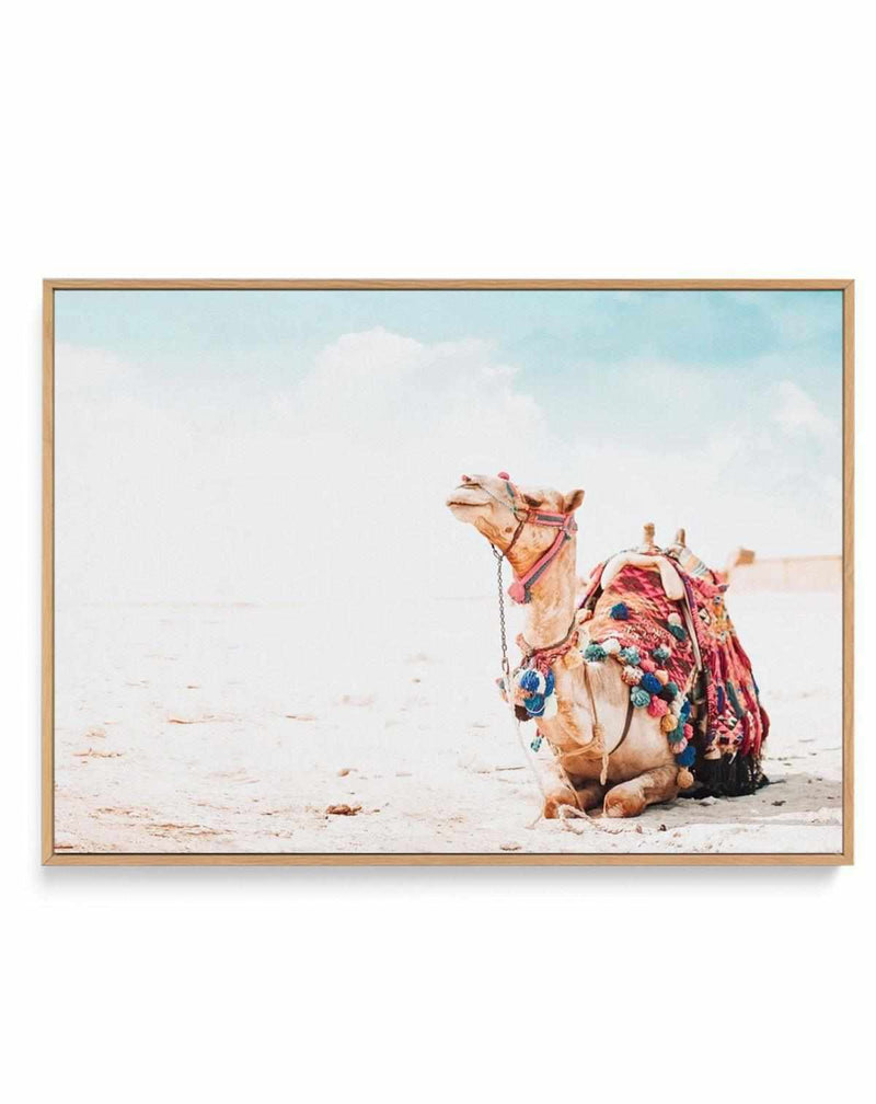 Bohemian Camel | LS | Framed Canvas Art Print