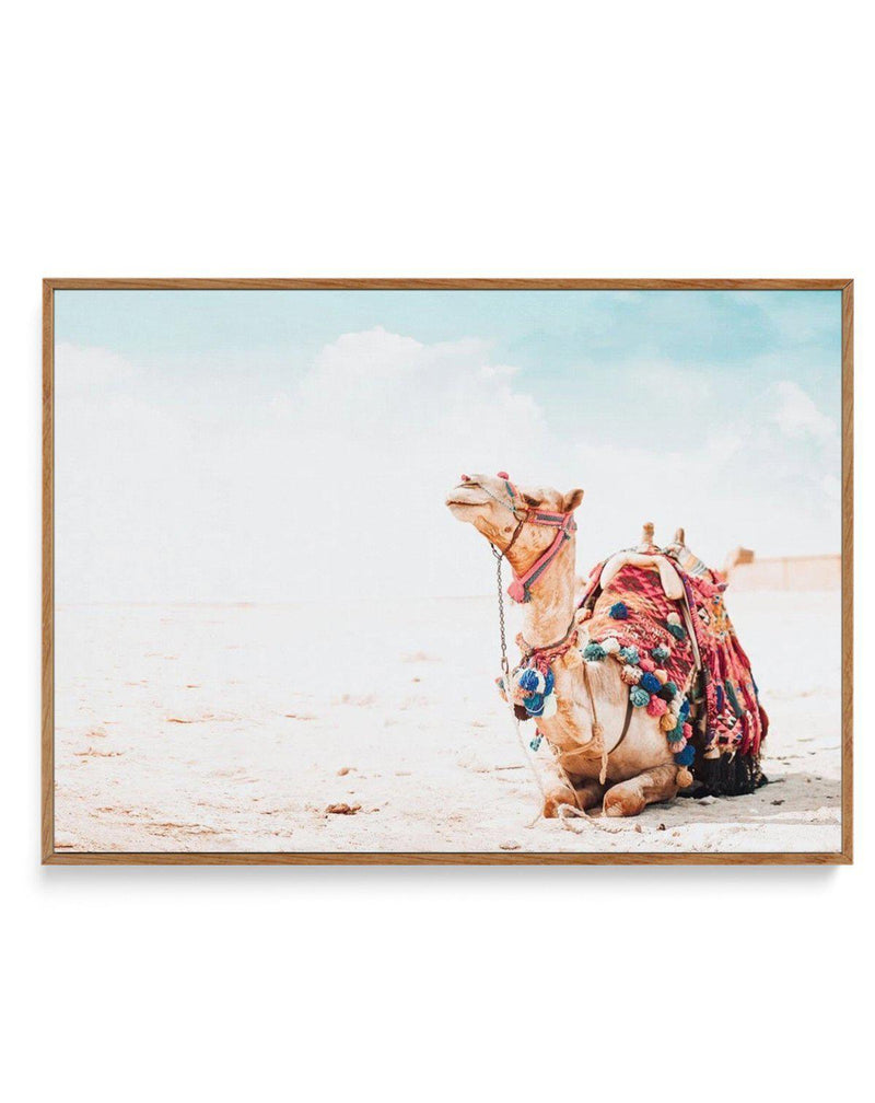 Bohemian Camel | LS | Framed Canvas-Shop Australian Art Prints Online with Olive et Oriel - Our collection of Moroccan art prints offer unique wall art including moroccan arches and pink morocco doors of marrakech - this collection will add soft feminine colour to your walls and some may say bohemian style. These traditional morocco landscape photography includes desert scenes of palm trees and camel art prints - there is art on canvas and extra large wall art with fast, free shipping across Aus