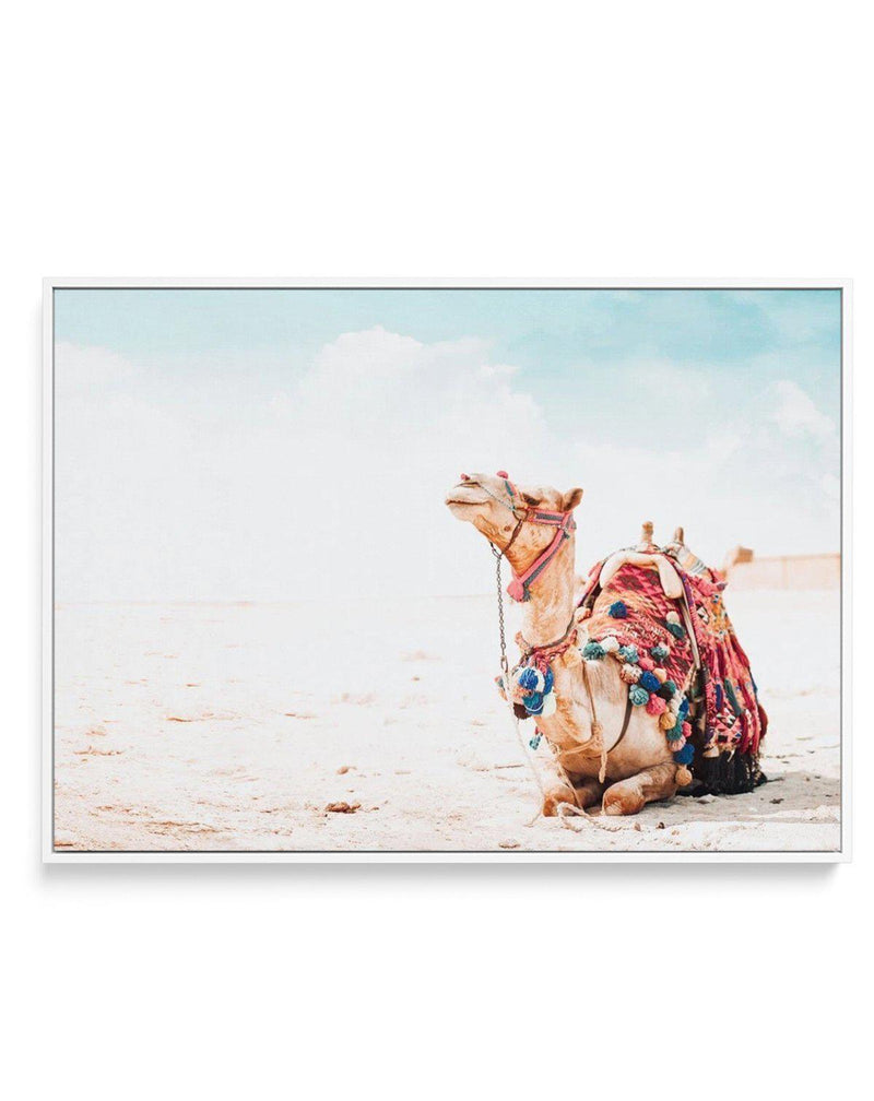 Bohemian Camel | LS | Framed Canvas-Shop Australian Art Prints Online with Olive et Oriel - Our collection of Moroccan art prints offer unique wall art including moroccan arches and pink morocco doors of marrakech - this collection will add soft feminine colour to your walls and some may say bohemian style. These traditional morocco landscape photography includes desert scenes of palm trees and camel art prints - there is art on canvas and extra large wall art with fast, free shipping across Aus