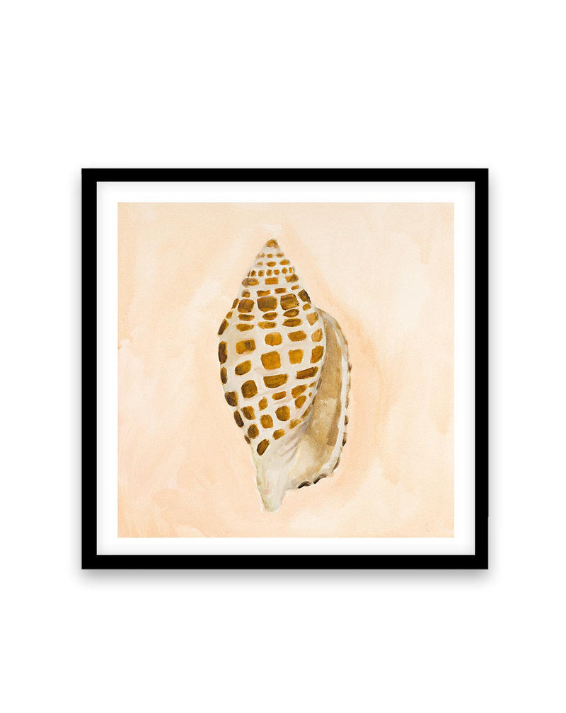 Bohemian Shell I by Natalie Jane Art Print