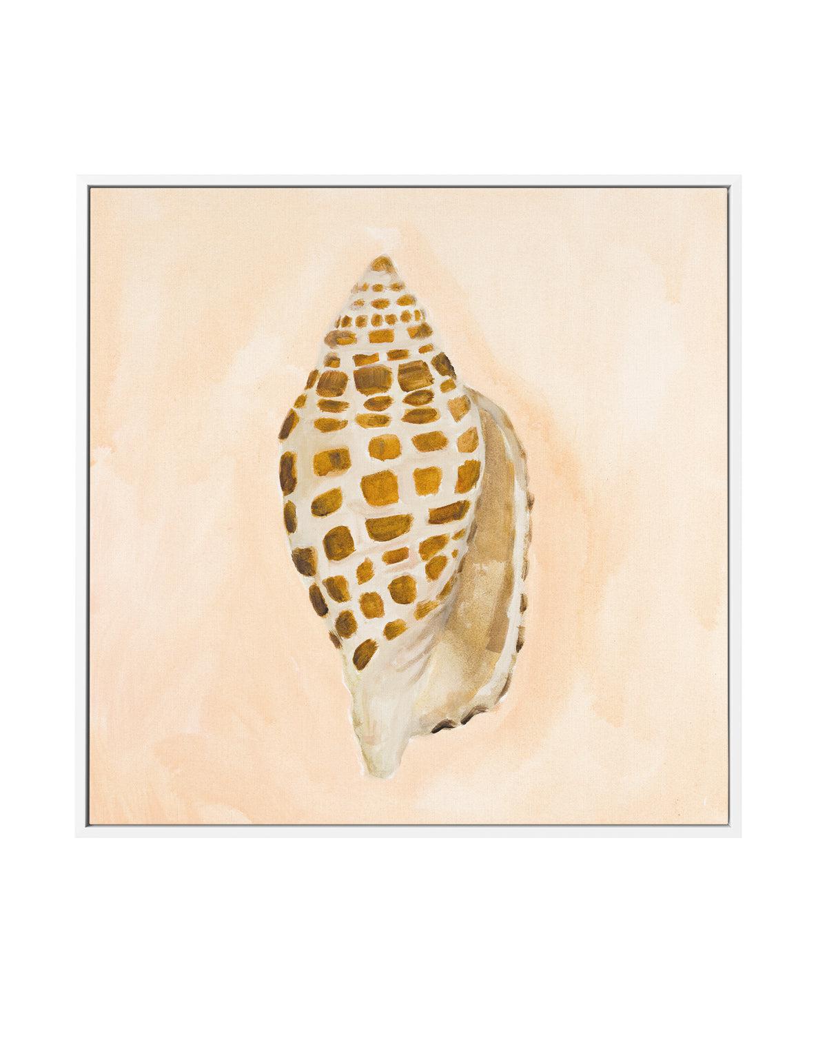 Bohemian Shell I by Natalie Jane | Framed Canvas Art Print