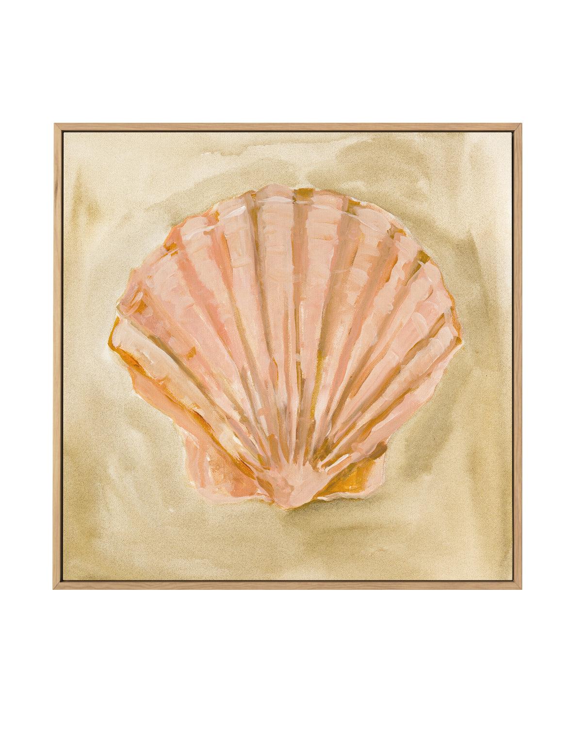 Bohemian Shell II by Natalie Jane | Framed Canvas Art Print