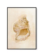 Bohemian Shell IV by Natalie Jane | Framed Canvas Art Print