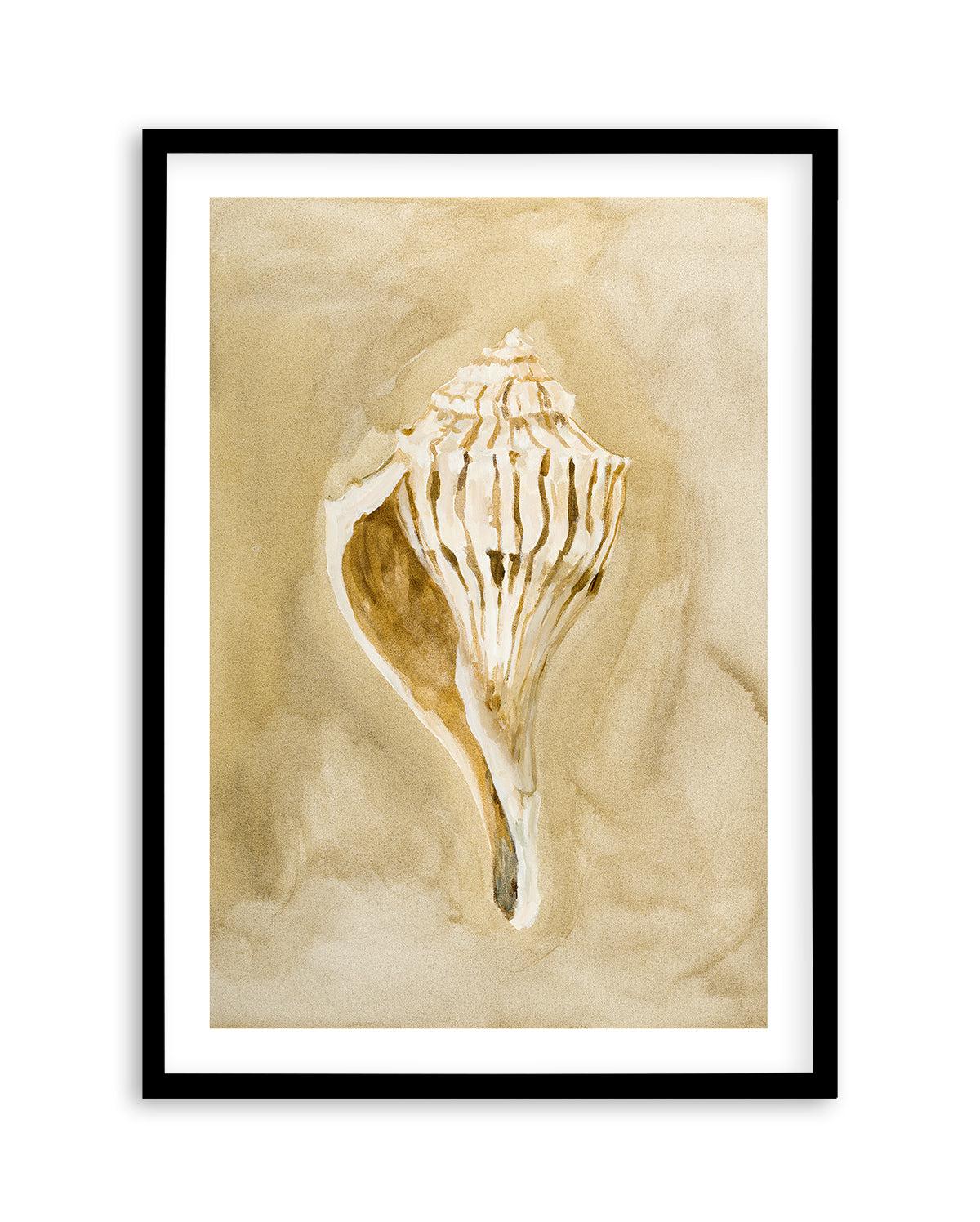 Bohemian Shell V by Natalie Jane Art Print