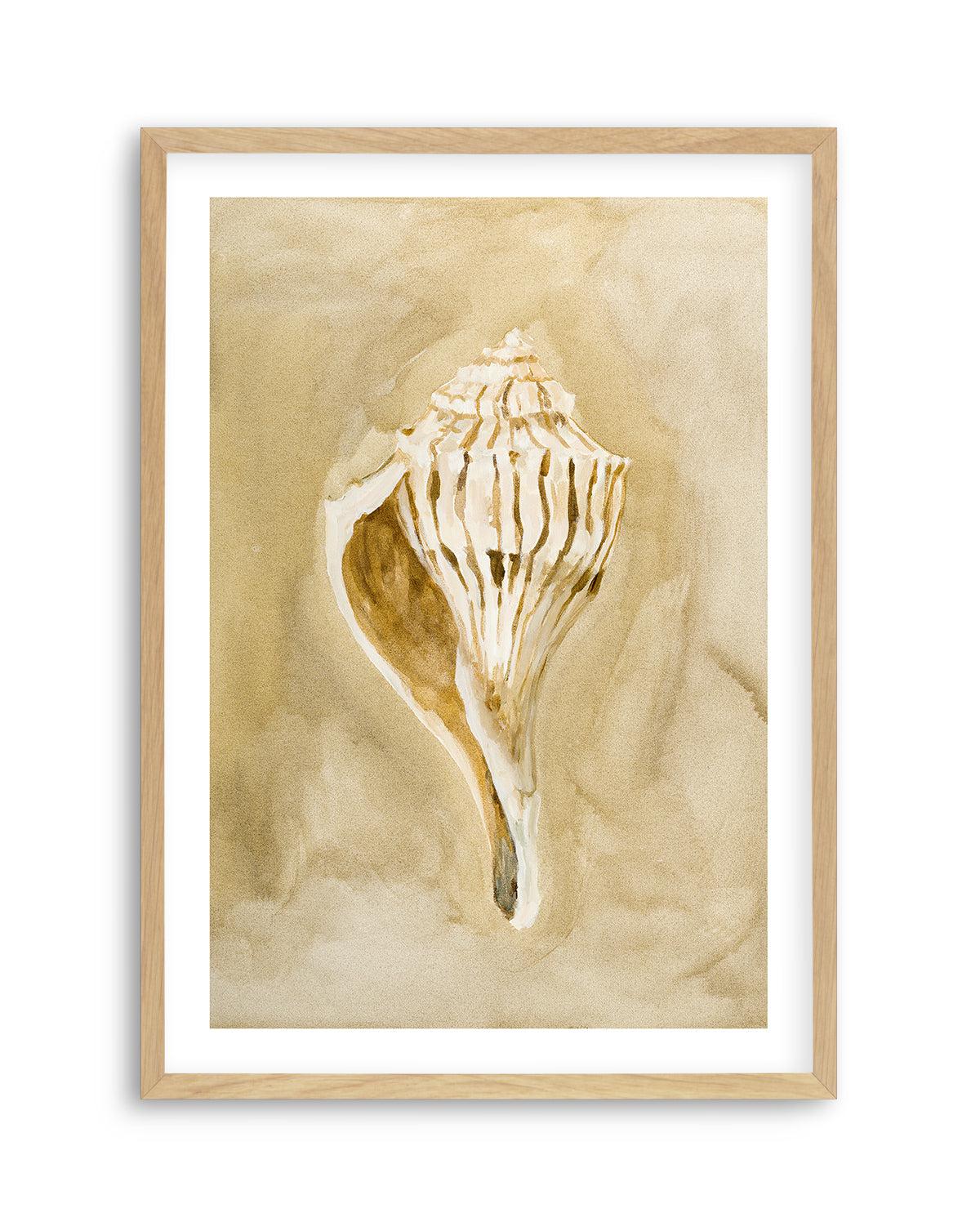 Bohemian Shell V by Natalie Jane Art Print