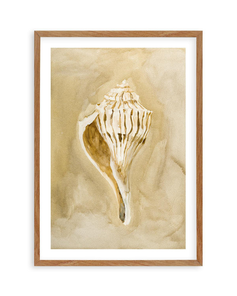 Bohemian Shell V by Natalie Jane Art Print