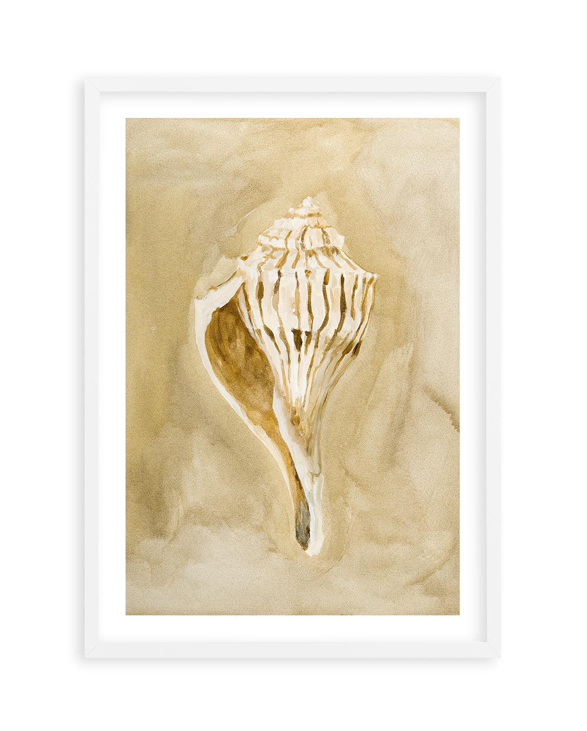 Bohemian Shell V by Natalie Jane Art Print