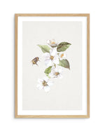 Botanica Bees II Art Print-PRINT-Olive et Oriel-Olive et Oriel-A5 | 5.8" x 8.3" | 14.8 x 21cm-Oak-With White Border-Buy-Australian-Art-Prints-Online-with-Olive-et-Oriel-Your-Artwork-Specialists-Austrailia-Decorate-With-Coastal-Photo-Wall-Art-Prints-From-Our-Beach-House-Artwork-Collection-Fine-Poster-and-Framed-Artwork