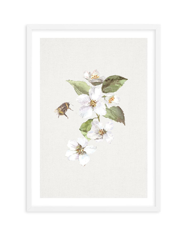 Botanica Bees II Art Print-PRINT-Olive et Oriel-Olive et Oriel-A5 | 5.8" x 8.3" | 14.8 x 21cm-White-With White Border-Buy-Australian-Art-Prints-Online-with-Olive-et-Oriel-Your-Artwork-Specialists-Austrailia-Decorate-With-Coastal-Photo-Wall-Art-Prints-From-Our-Beach-House-Artwork-Collection-Fine-Poster-and-Framed-Artwork