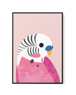 Budgie by Dan Hobday | Framed Canvas-CANVAS-You can shop wall art online with Olive et Oriel for everything from abstract art to fun kids wall art. Our beautiful modern art prints and canvas art are available from large canvas prints to wall art paintings and our proudly Australian artwork collection offers only the highest quality framed large wall art and canvas art Australia - You can buy fashion photography prints or Hampton print posters and paintings on canvas from Olive et Oriel and have 